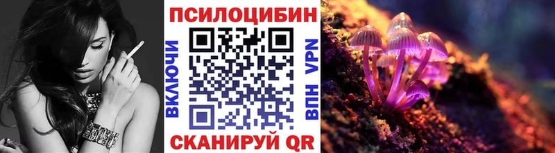 Купить где  Гай  Галлюциногенные грибы Psilocybine cubensis 